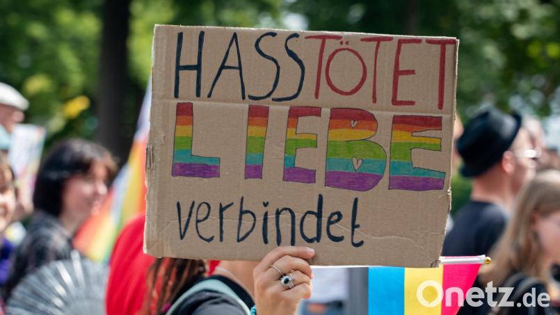 Eines der vielen selbstgebastelten Schilder beim CSD Amberg 2026. Bild: Marina Gube