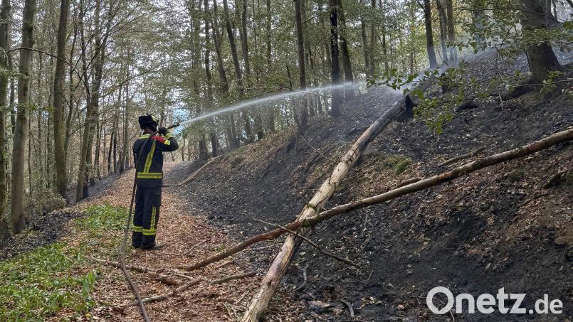 Auch am Sonntag dauern die Löscharbeiten beim Waldbrand in Freudenberg noch an. Ein Hauptaugenmerk liegt am Sonntag auf den Glutnestern. Bild: Florian Schlegel