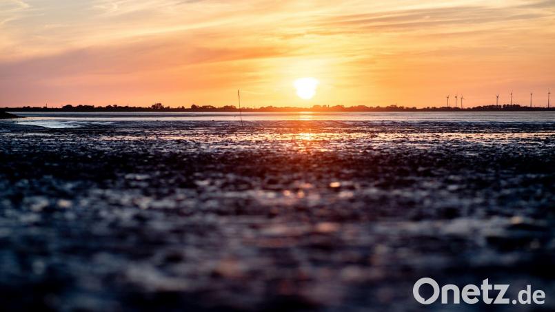 Auch am Dienstag sind noch Temperaturen bis 38 Grad möglich. Bild: Hauke-Christian Dittrich/dpa