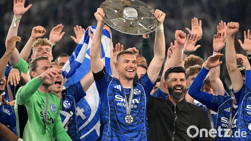 Edin Dzeko spielt noch ein Jahr Bundesliga mit Schalke. (Archivbild) Bild: Bernd Thissen/dpa