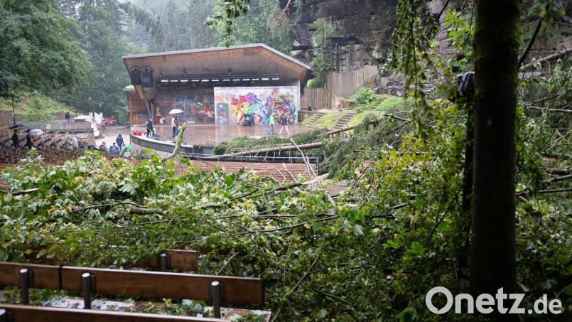 Auch auf der Bühne und der Zuschauertribüne der Felsenbühne Rathen gibt es Schäden. Bild: Sebastian Kahnert/dpa