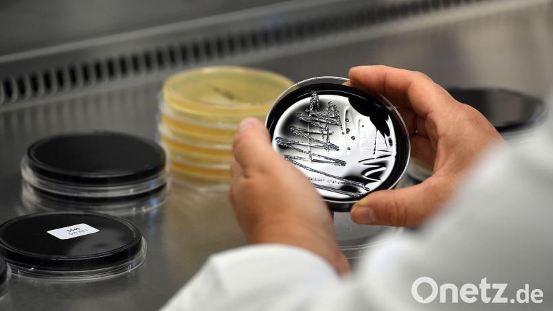 In der Schweiz sind 26 Menschen an der Legionärskrankheit erkrankt, eine Person ist gestorben. Bild: Federico Gambarini/dpa/dpa-tmn