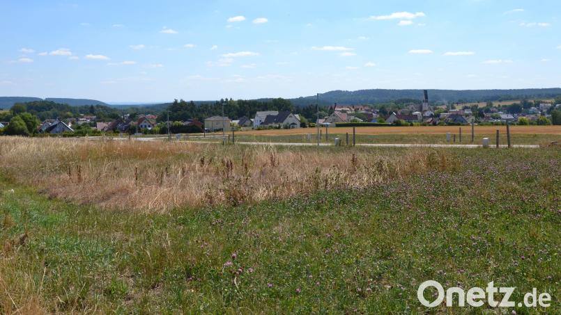 Ausblick nach Kirchenthumbach: Das neue Baugebiet "Sandbrunnen V" steht zur Bebauung bereit. Wie viele Parzellen sind schon verkauft? Ist die Nachfrage genauso groß, wie fünf Jahre zuvor beim angrenzenden Neubaugebiet "Sandbrunnen IV"? Bild: Anne Wiesnet