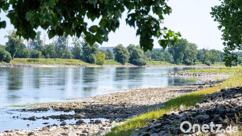 Nicht nur Flüsse und Seen in Bayern melden wegen Hitze und Trockenheit niedrige Pegelstände. Auch im Boden sind die Folgen messbar. Bild: Armin Weigel/dpa