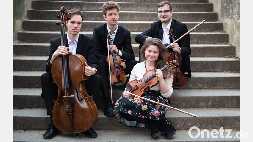 Das Ševčík-Quartett gastiert bei den Wurzer Sommerkonzerten. Bild: Michaela Pondelícková