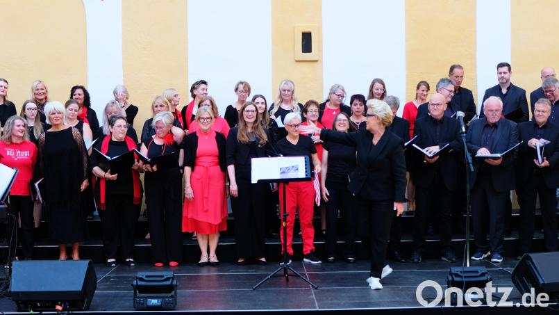 Hohe Vokalkunst bewies Singing Witt unter Leitung von Stefanie Zühlke-Schmidt bei einem Benefiz-Konzert im Kloster Speinshart Bild: Robert Dotzauer