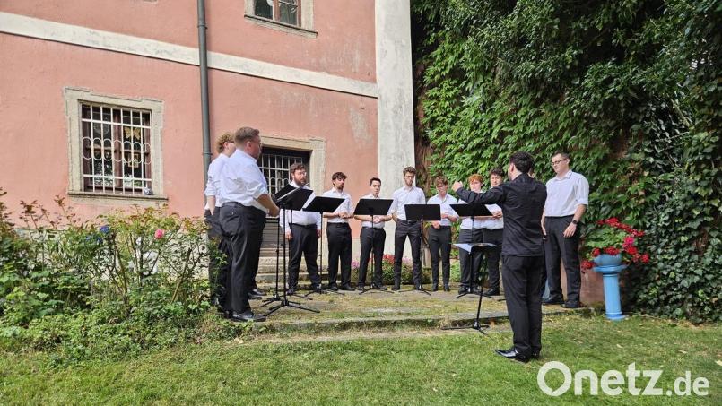 Das Renner Ensemble war zu Gast bei den Wurzer Sommerkonzerten. Bild: CTZ