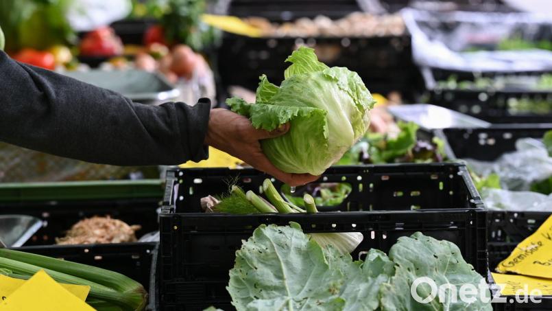 Behörden in den USA bringen einen Ausbruch in neun Bundesstaaten mit Eisbergsalat in Verbindung. (Symbolbild) Bild: Arne Dedert/dpa