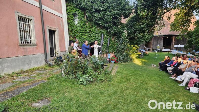 Foaie Verde traten am Samstag bei den Wurzer Sommerkonzerten auf. Bild: CTZ