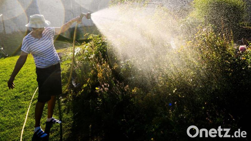 Die Stadt Oberviechtach ruft seine Einwohner auf, Wasser zu sparen. Symbolbild: Julian Stratenschulte/dpa