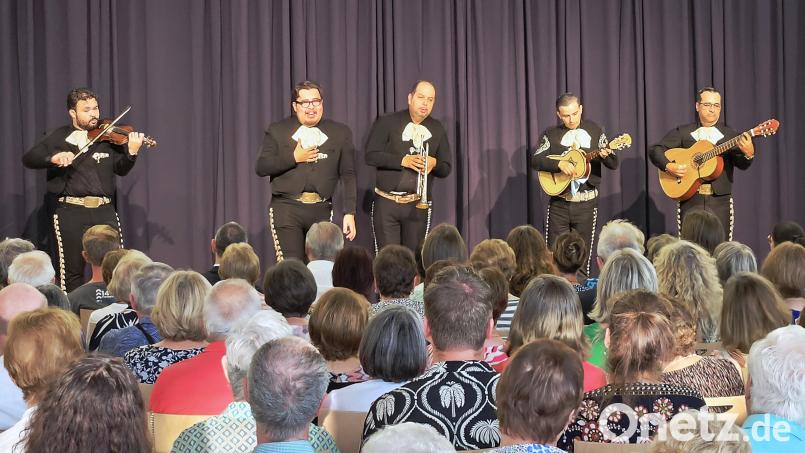 Passend zum hochsommerlichen Wetter brachten die fünf Musiker von "Mariachi Universal" mexikanische Klänge nach Kemnath. Bild: ckl