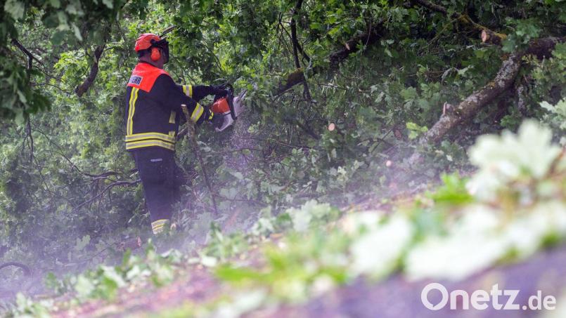 Feuerwehrleute räumten die Bäume schnell von den Autobahnen. (Symbolbild) Bild: Pia Bayer/dpa