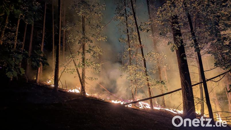 Dienstag gegen 21 Uhr, vier Tage nach dem Ausbruch des Waldbrandes flackern wieder Flammen am Johannisberg. Bild: Armin Daubenmerkl