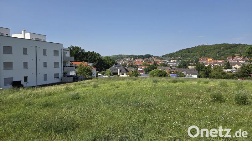 Diese Wiese am Loderhof mit Blick auf den Annaberg (rechts hinten) soll bebaut werden. Die Bewohner des dreigeschossigen Neubaus (links) protestieren – nicht gegen das Ob, sondern gegen das Wie. Bild: Tobias Gräf