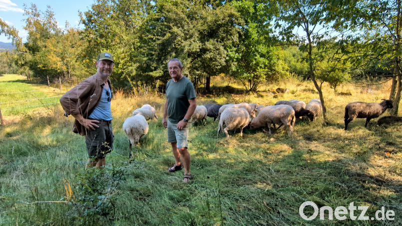 Martin Wittmann (links) ist Schafhalter im Nebenerwerb. Zusammen mit Werner Schubert vom Bund Naturschutz stattet er seinen Schützlingen auf der Wunschenberger Hout einen Besuch ab. Bild: Christa Vogl