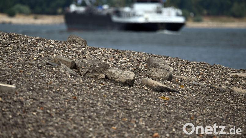 Wegen der niedrigen Pegelstände können Güter auf den Wasserstraßen nur eingeschränkt transportiert werden. (Archivbild) Bild: Federico Gambarini/dpa