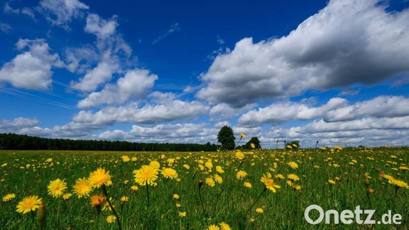 Das Wochenende bringt Temperaturen von mehr als 30 Grad mit sich. Bild: Patrick Pleul/dpa