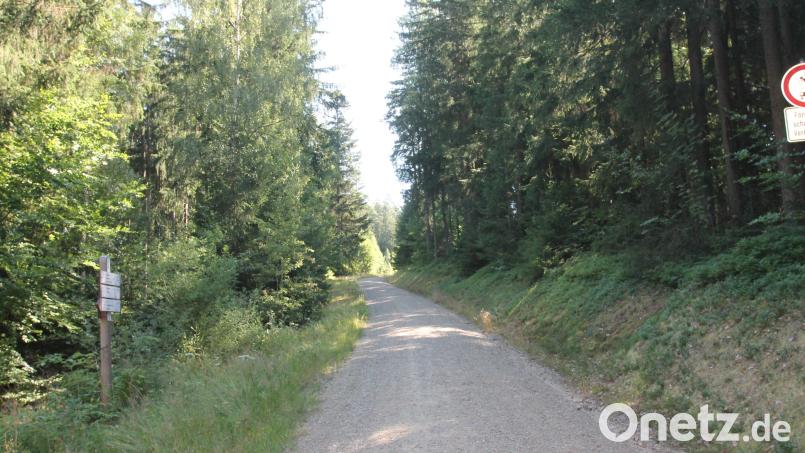 Hier veräuft der Mountainbike-Trail am Wurmstein. Bild: Josef Pilfusek