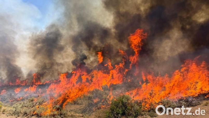 Derzeit brennt es vielerorts in Utah (Handout). Bild: Uncredited/U.S. Forest Service/Fishlake National Fores/AP/dpa