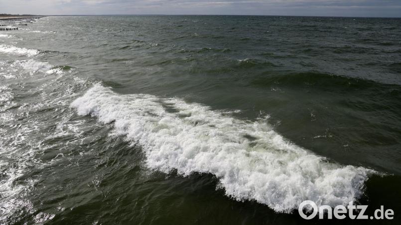 In der Ostsee vor dem polnischen Seebad Miedzyzdroje wurde ein Wal gesichtet. (Archivbild) Bild: Bernd Wüstneck/dpa