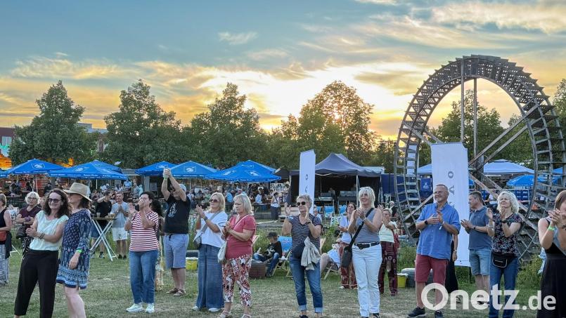 "Sommer in der Stadt" Open Air Musikfestival am Landesgartenschaugelände. Bild: Petra Hartl