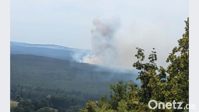 Im Manteler Forst ist am Sonntagmittag ein Feuer ausgebrochen. Rund 300 Kräfte mehrerer Feuerwehren kämpfen gegen die Flammen. Bild: Freiwillige Feuerwehr Schwarzenbach