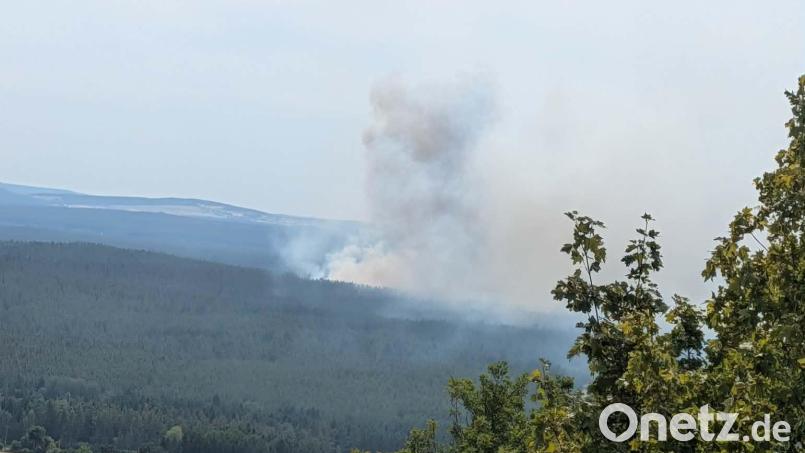 Im Manteler Forst ist ein Feuer ausgebrochen. Laut Polizei Neustadt/WN ist eine rund 1000 Quadratmeter große Waldfläche betroffen. Die Kräfte mehrerer Feuerwehren kämpfen gegen die Flammen. Bild: Freiwillige Feuerwehr Schwarzenbach