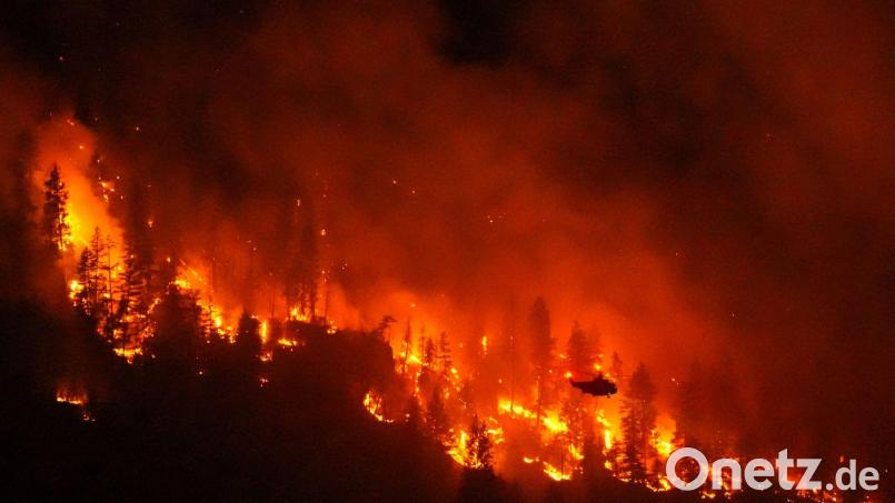 Wegen schwerer, sich rasant ausbreitender Waldbrände hat die westkanadische Provinz British Columbia den Notstand ausgerufen. Bild: Darryl Dyck/The Canadian Press via AP/dpa