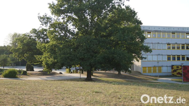 Auf dem großen Areal neben der Mittelschule könnte ein Elterntaxi-Parkplatz entstehen Bild: Elfriede Weiß