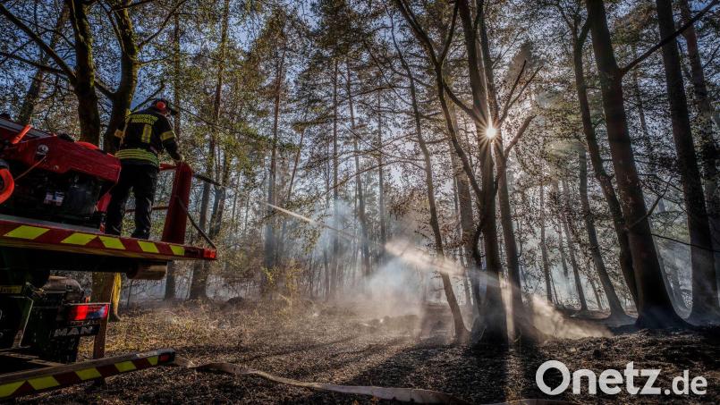 Feuerwehrleute versuchen die Brände zu löschen. Bild: Andreas Arnold/dpa