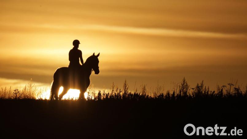 Vor allem im Süden Deutschlands soll es am Montag wieder heiß werden. Bild: Thomas Warnack/dpa