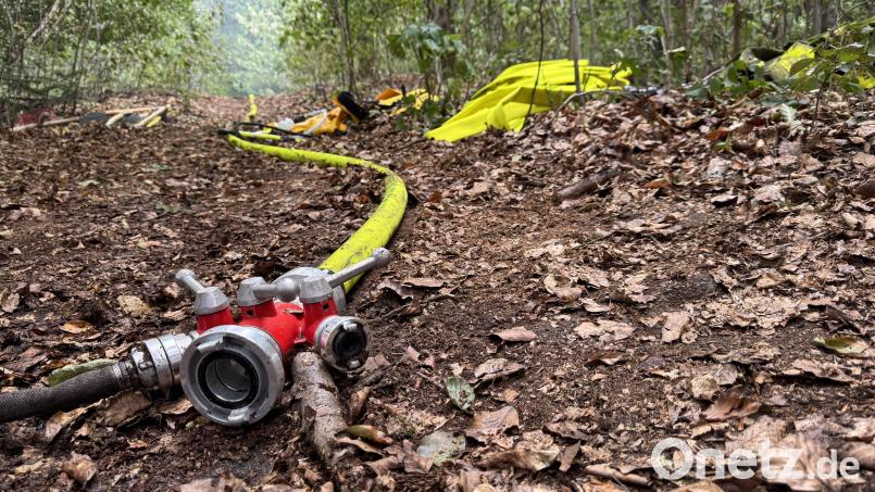Pro Jahr können bis zu 1000 Waldbrände in ganz Deutschland ausbrechen. In trockenen Jahren können es sogar bis zu 2500 Waldbrände werden. Symbolbild: Heike Unger