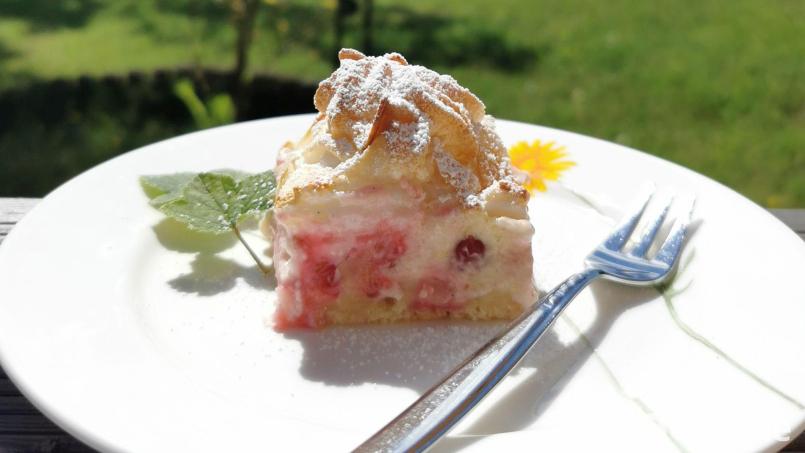 Sieht köstlich aus und schmeckt genauso: der Johannisbeer-Quarkkuchen mit Baiserhaube vom Blech. Bild: Heike Heindl