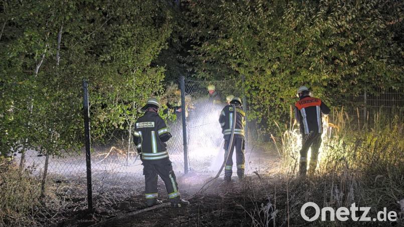 Rund 20 Quadratmeter an Gras und Sträuchern verbrannten bei dem Feuer in der Nähe des Weidener Open-Air-Kinos. Die Kino-Reihe findet beim VfB Weiden zwischen dem 7. und dem 16. August statt. Bild: Feuerwehr Weiden