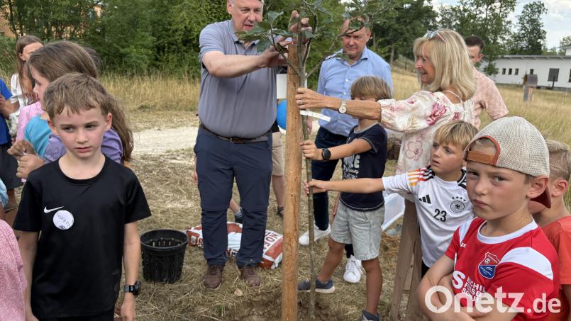 Gemeinsam mit den Kindern pflanzte Landrat Richard Reisinger den neuen Apfelbaum an der Grundschule in Ebermannsdorf. Bild: Joachim Gebhardt