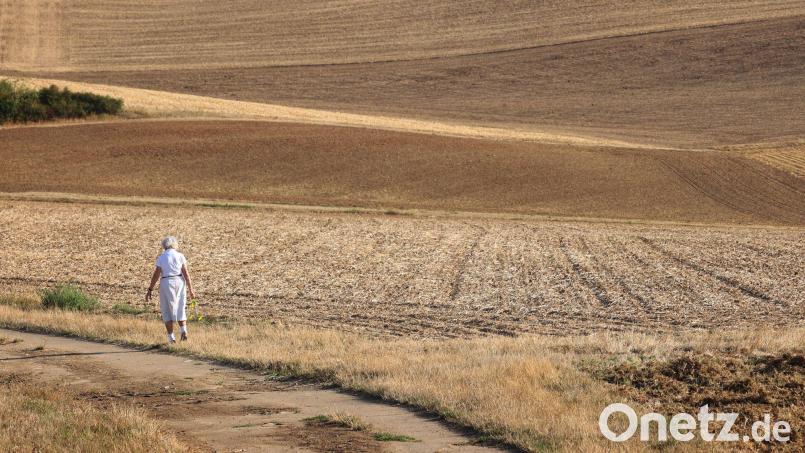 Gelbe, trockene Felder bestimmen derzeit das Landschaftsbild. (Archivbild) Bild: Karl-Josef Hildenbrand/dpa