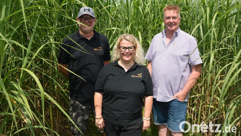 Elke Gültner mit ihrem Partner Roland (rechts) und dessen Bruder Michael Schaumberger in einem Miscanthus-Feld. Bild: jr