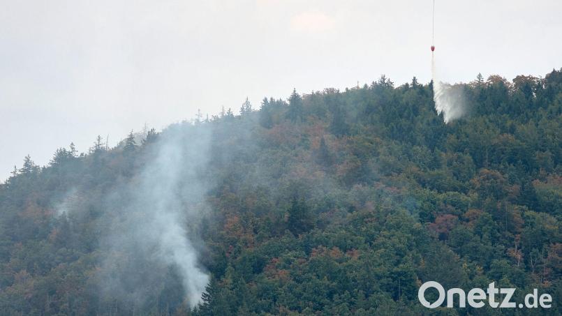 Waldbrände nehmen zu - der Bund Naturschutz mahnt zur Eile beim Waldumbau in Bayern. (Archivbild) Bild: Tizian Gerbing/dpa