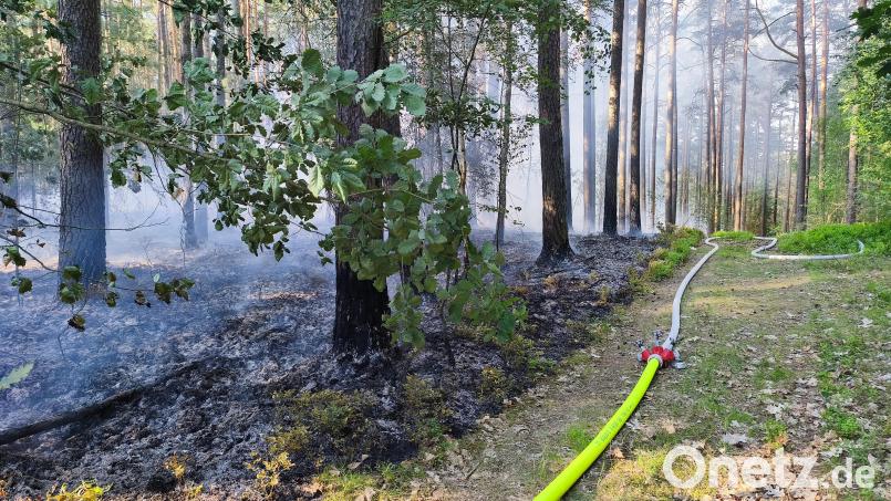 Schon Ende Juni brannte es im Manteler Forst. In den letzten Wochen häuften sich die Vorfälle. Archivbild: Jürgen Masching