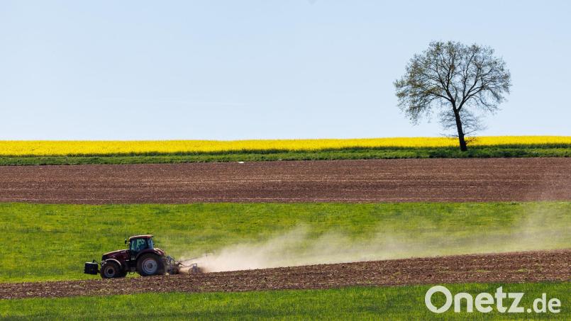 Ein Landwirt ist bei Feldarbeiten mit seinem Traktor verunglückt. (Symbolbild) Bild: Daniel Karmann/dpa