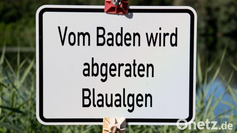 Das Gesundheitsamt warnt vor dem Baden. (Symbolbild) Bild: Julian Stratenschulte/dpa