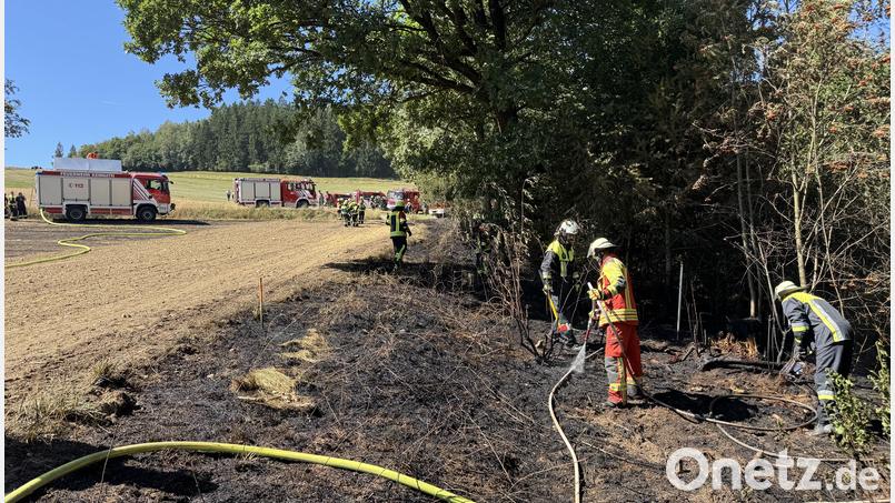 Die Feuerwehren wurden am Mittwoch zu einem Feldbrand zwischen Beringersreuth und Kronau gerufen. Bild: Michael Rubenbauer-Denz