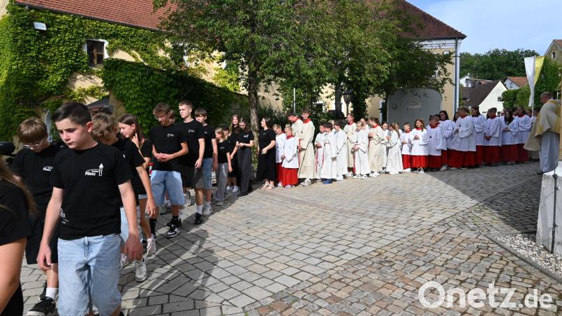 Eine große Schar Ministranten aus Luhe, Oberwildenau und Neudorf erwies Pfarrer Arnold Pirner die Ehre bei seinem Abschiedsgottesdienst. Bild: Kerstin Kiener