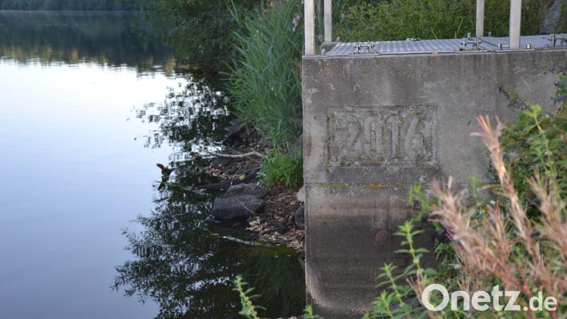 Fast 50 Zentimeter Wasser fehlen dem Eschenbacher Obersee. Der untere dunkelgraue Bereich am Mönch zeigt das deutlich. Die momentane Hitze und eine Maßnahme im Frühjahr machen den Tieren und Pflanzen jetzt Probleme. Bild: Anne Wiesnet