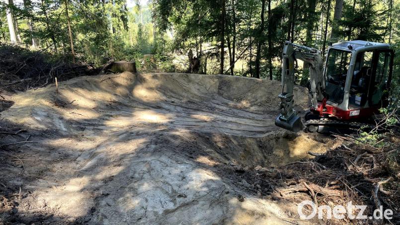 Im Oberpfälzer Wald sollen vier neue Mountainbike-Trails entstehen. Die offizielle Eröffnung ist für Frühjahr 2027 geplant. Bild: Naturparkland