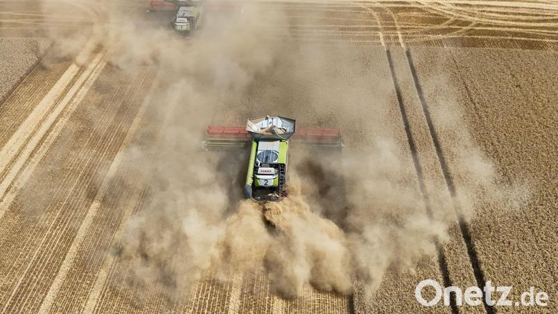 Die Dürre schlägt nach Brancheneinschätzung auf die Ernte 2026 durch. (Archivbild) Bild: Peter Gercke/dpa