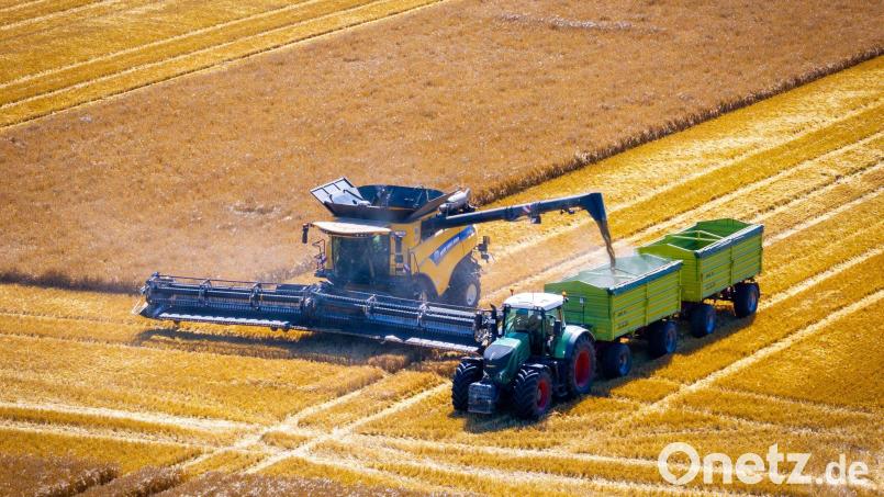 Einbußen gibt es vor allem im Süden. (Archivbild) Bild: Jens Büttner/dpa