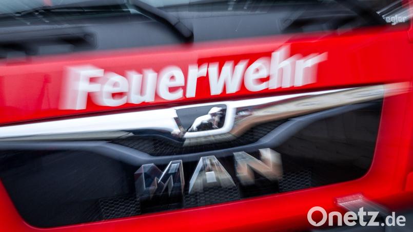 Wieder brennt es im Wald in Rheinland-Pfalz, die Feuerwehr rückt zu einem Großeinsatz aus. (Symbolbild) Bild: Jens Büttner/dpa