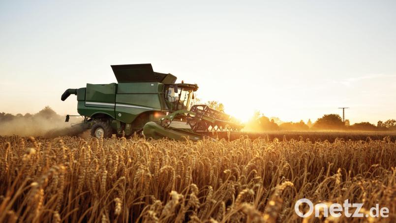Tennet und der Bayerische Bauernverband haben beschlossen, dass Landwirte zwischenbegrünte Flächen entlang des Süd-Ost-Links zur Futtergewinnung nutzen dürfen. Symbolbild: Rene Schmidt/dpa