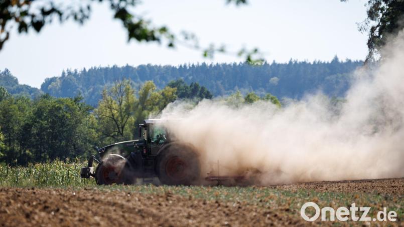 Es ist trocken in Bayern - doch der Regen naht. Bild: Daniel Karmann/dpa